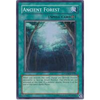 Ancient Forest - ANPR-EN048 - Super Rare Unlimited NM