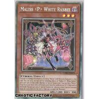 CRBR-EN015 Maliss P White Rabbit COLLECTOR'S Rare 1st Edition NM