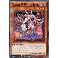 CRBR-EN015 Maliss P White Rabbit Ultra Rare 1st Edition NM