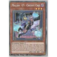 CRBR-EN016 Maliss P Chessy Cat COLLECTOR'S Rare 1st Edition NM