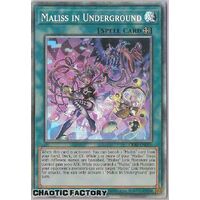 CRBR-EN021 Maliss in Underground Collector's Rare 1st Edition NM