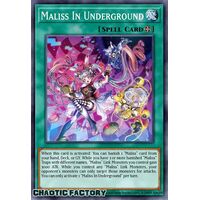 CRBR-EN021 Maliss in Underground Ultra Rare 1st Edition NM