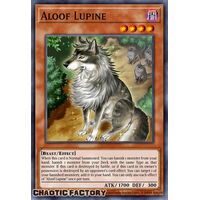 CRBR-EN026 Aloof Lupine Rare 1st Edition NM