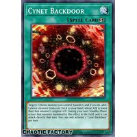 CRBR-EN029 Cynet Backdoor Rare 1st Edition NM