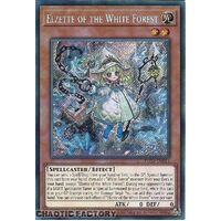 INFO-EN014 Elzette of the White Forest Secret Rare 1st Edition NM