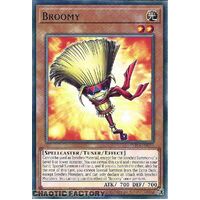 INFO-EN029 Broomy Common 1st Edition NM