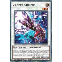 INFO-EN088 Zapper Shrimp Common 1st Edition NM