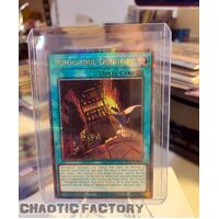 INFO-EN094 Mimighoul Dungeon Quarter Century Secret Rare 1st Edition NM