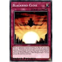 LDS2-EN046 Blackbird Close Common 1st Edition NM