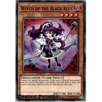 LDS2-EN097 Witch of the Black Rose Common 1st Edition NM