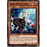 LDS2-EN107 Dark Rose Fairy Common 1st Edition NM