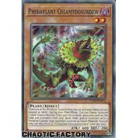 LDS3-EN071 Predaplant Chlamydosundew Common 1st Edition NM