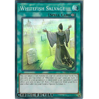 MP20-EN099 Whitefish Salvage Super Rare 1st Edition NM