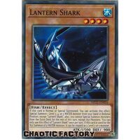 MP21-EN054 Lantern Shark Common 1st Edition NM