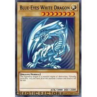 MP24-EN001 Blue-Eyes White Dragon Quarter Century Secret Rare 1st Edition NM