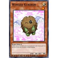 MP24-EN017 Winged Kuriboh Quarter Century Secret Rare 1st Edition NM