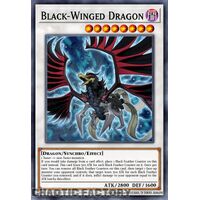 MP24-EN028 Black-Winged Dragon Quarter Century Secret Rare 1st Edition NM