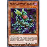 MP24-EN041 Predaplant Ophrys Scorpio Quarter Century Secret Rare 1st Edition NM