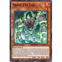 MP24-EN111 Snake-Eye Oak Prismatic Secret Rare 1st Edition NM