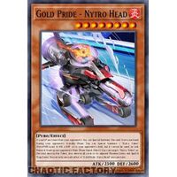 MP24-EN181 Gold Pride - Nytro Head Ultra Rare 1st Edition NM