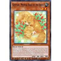 MP24-EN205 Kittytail, Mystical Beast of the Forest Ultra Rare 1st Edition NM