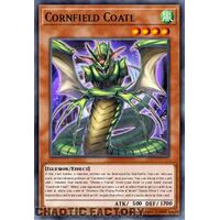 MP24-EN207 Cornfield Coatl Ultra Rare 1st Edition NM