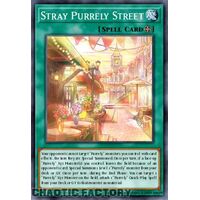 MP24-EN289 Stray Purrely Street Ultra Rare 1st Edition NM