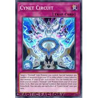 MP24-EN349 Cynet Circuit Common 1st Edition NM