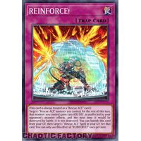 MP24-EN354 REINFORCE! Common 1st Edition NM