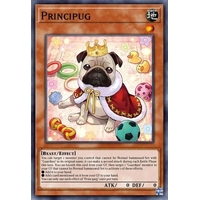 PHNI-EN034 Principug Common 1st Edition NM