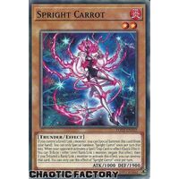 POTE-EN007 Spright Carrot Common 1st Edition NM