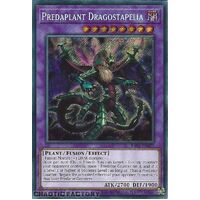 RA01-EN027 Predaplant Dragostapelia Secret Rare 1st Edition NM