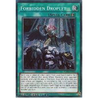 RA01-EN064 Forbidden Droplet Secret Rare 1st Edition NM