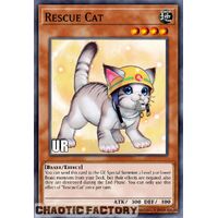 RA02-EN001 Rescue Cat (alternate art) Ultra Rare 1st Edition NM