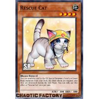 RA02-EN001 Rescue Cat (alternate art) Super Rare 1st Edition NM
