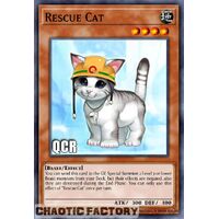 Quarter Century Secret Rare RA02-EN001 Rescue Cat 1st Edition NM