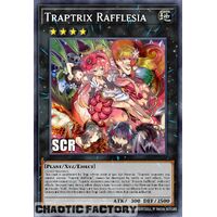 RA02-EN034 Traptrix Rafflesia Secret Rare 1st Edition NM