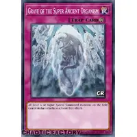 RA03-EN077 Grave of the Super Ancient Organism Collector's Rare 1st Edition NM