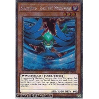 RA03-EN215 Blackwing - Gale The Whirlwind Platinum Secret Rare 1st Edition NM