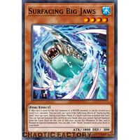 ROTA-EN001 Surfacing Big Jaws Ultra Rare 1st Edition NM