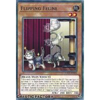 ROTA-EN026 Flipping Feline Common 1st Edition NM