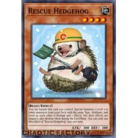 ROTA-EN097 Rescue Hedgehog Super Rare 1st Edition NM