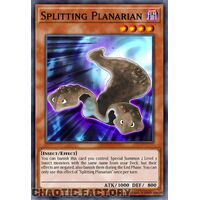 ROTA-EN100 Splitting Planarian Super Rare 1st Edition NM