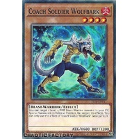 SR14-EN011 Coach Soldier Wolfbark Common 1st Edition NM