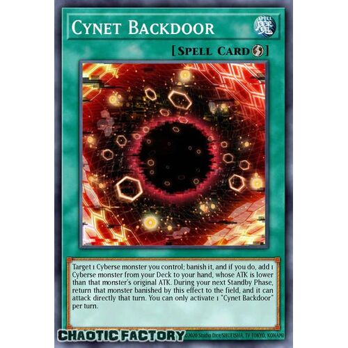 CRBR-EN029 Cynet Backdoor Rare 1st Edition NM