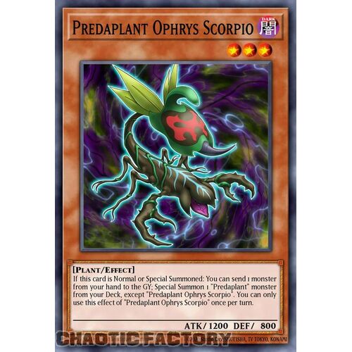 MP24-EN041 Predaplant Ophrys Scorpio Quarter Century Secret Rare 1st Edition NM