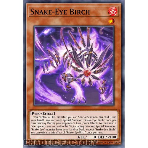 MP24-EN112 Snake-Eye Birch Prismatic Secret Rare 1st Edition NM