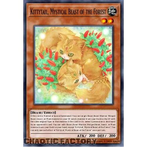 MP24-EN205 Kittytail, Mystical Beast of the Forest Ultra Rare 1st Edition NM