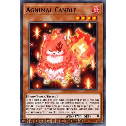 MP24-EN218 Agnimal Candle Ultra Rare 1st Edition NM