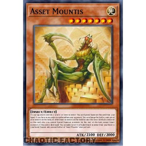 MP24-EN248 Asset Mountis Ultra Rare 1st Edition NM